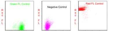 Flow Cytometry: Annexin V Apoptosis Kit [FITC] [NBP2-29373]